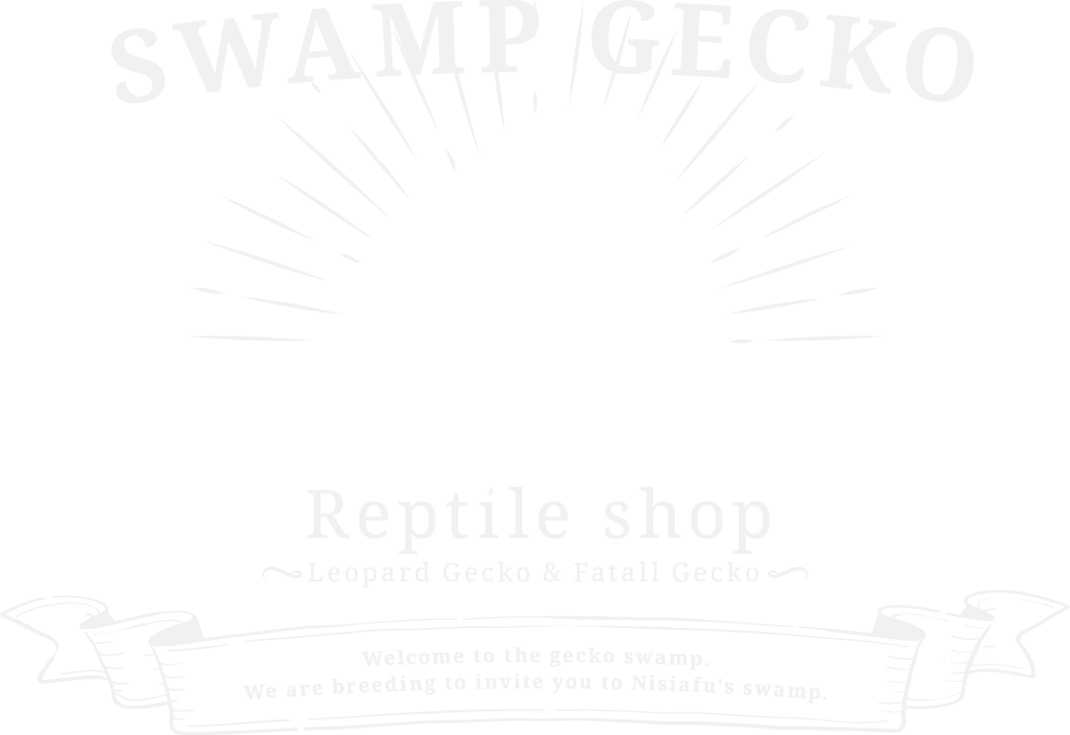 SWAMP GECKO